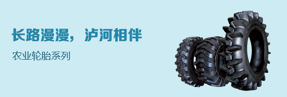 山东泸河集团有限公司