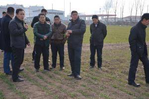 培训班人员观摩大华保护性耕作试验示范田。