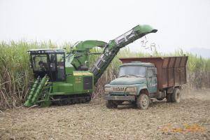 中联重科“谷王”甘蔗机在田间作业。