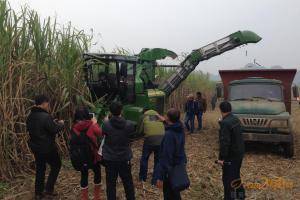 中联重科“谷王”甘蔗机，助力广西糖料蔗基地建设