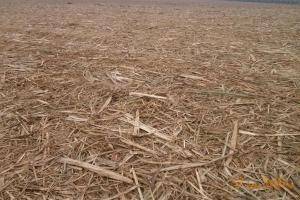 众所周知，甘蔗在收获完毕后其叶子和根茬非常多，而且由于种植地况粘湿，机收后土地被碾压的非常坚硬，且高低不平，非常不利于后续的灭茬作业