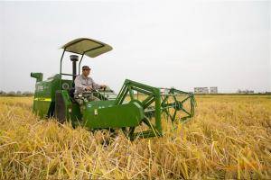 中联重科PQ25水稻收割机在安徽定远作业现场。