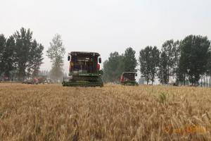 中联重科TB60小麦联合收割机在河南汝州的作业现场。