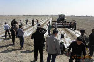 4月10日新疆石河子演示会现场约翰迪尔新6B系列954拖拉机配备自动导航进行棉花播种作业。