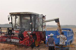 雷沃的小麦收割机，每仓可装粮食1500kg。