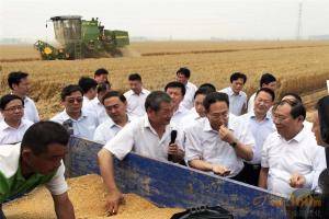 李锦斌查看小麦收获情况。
