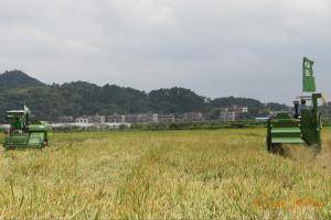 中联重科谷王水稻机启动湘潭早稻收割第一镰。