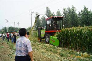 河北雷肯9QZ-2600青饲料收获机作业现场。