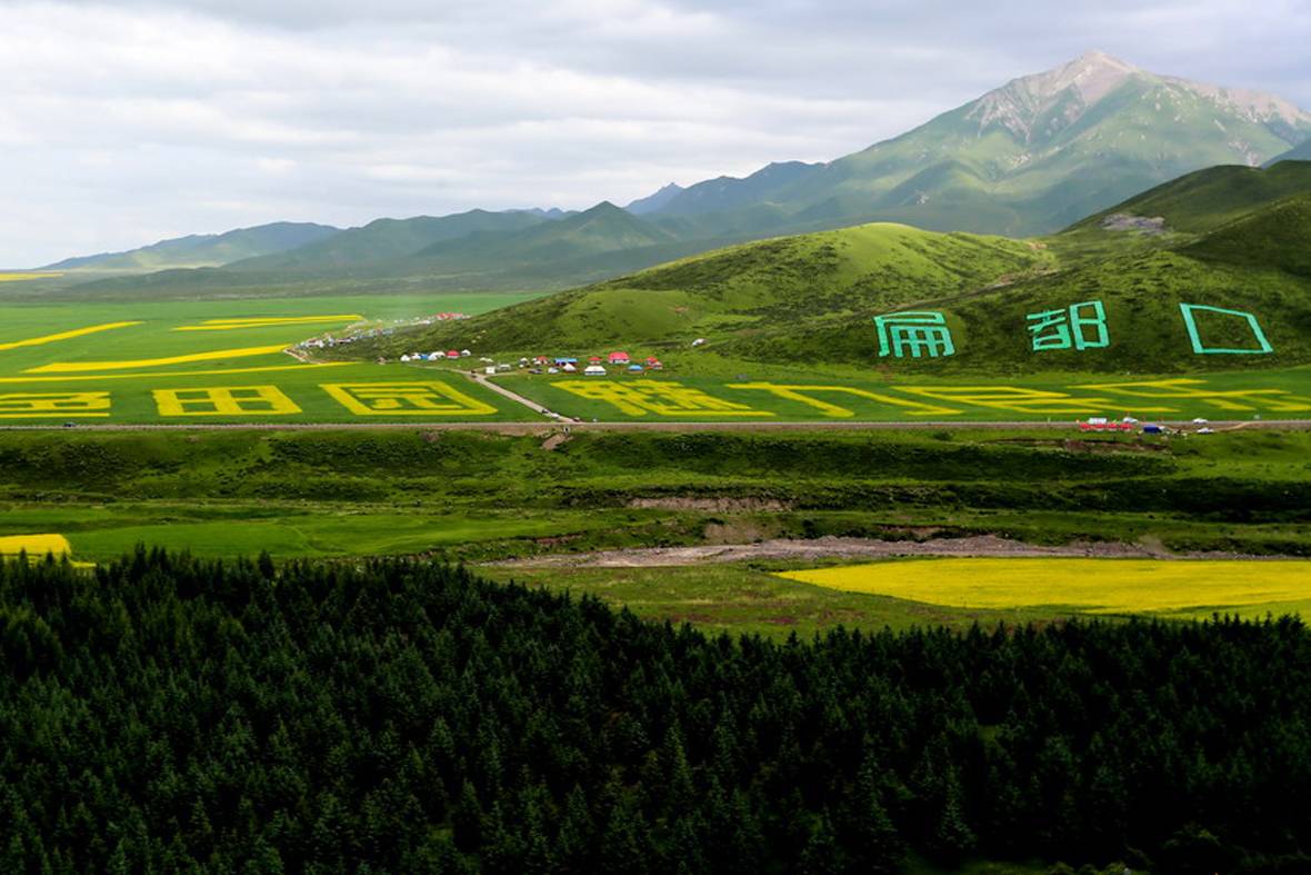 【高清组图】张掖民乐扁都口万亩油菜花盛开 引来众多观光客