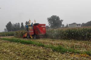 此次演示会，中农博远准备了两百亩的玉米地供用户试驾使用。