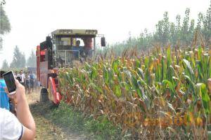 河北保定鑫天泰农机公司举行玉米收割机演示会