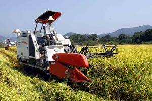 8月26日，江西省宜春市靖安县仁首镇石下村农民驾驶农机在收割中稻。