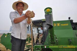 谷王小麦机助力湖北农民喜获丰收。