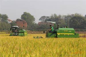 谷王PL50水稻机在田间作业。