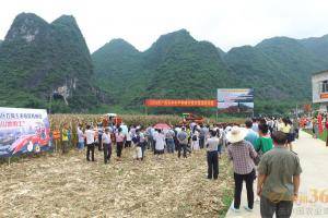金达威在广西玉米生产机械化演示会现场图。