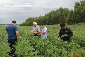 Horst Bunge 先生分析大豆种植情况