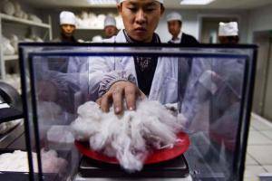 在新疆阿瓦提县丰收三场的一个实验室里，工作人员正在对新购的棉花进行检测评级（10月24日摄）。