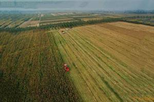 10月4日，一台收割机在河北省新河县南冯召村的农田收获玉米。