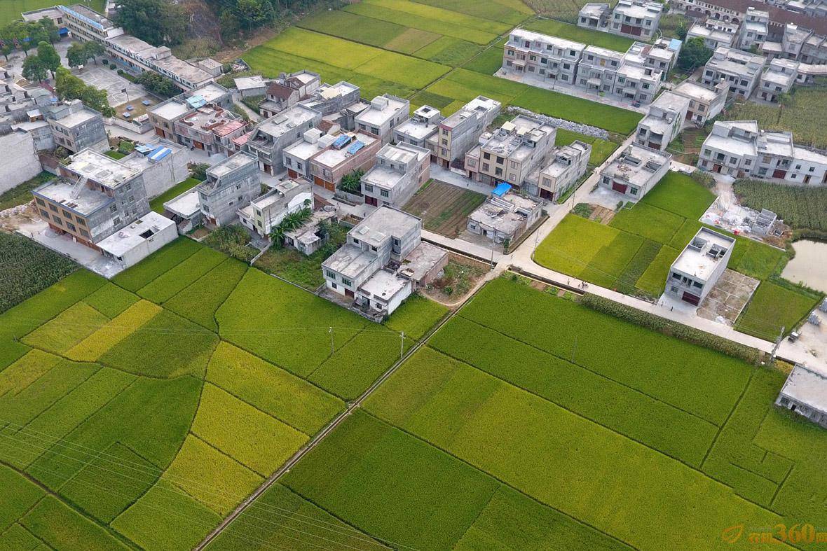 田园科学城平面图 田园科学城平面图