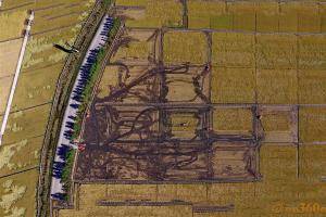 9月28日，在吉林省吉林市万昌镇，农民驾驶收割机在收割水稻。3