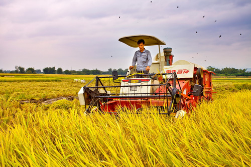 现代农业试点推行 机艺融合促行业爆发_农机3