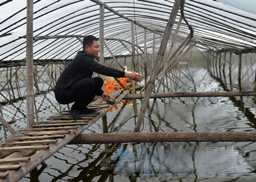 “80后福清哥”和500亩家庭农场 养虾放牧栽果树_农机360网