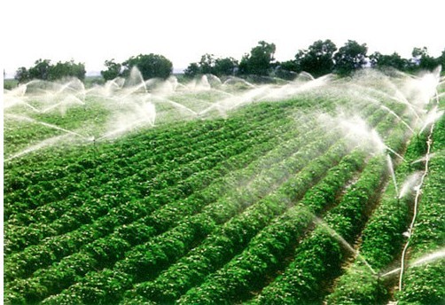 耕地机_福建人均耕地(3)
