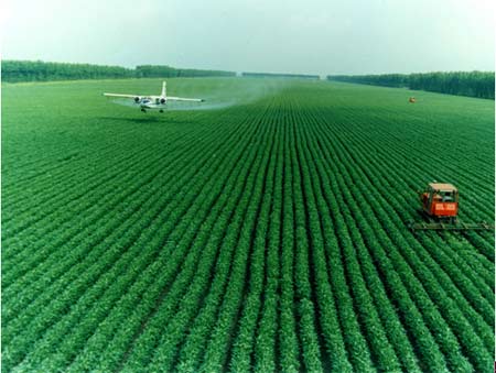 黑龙江首次采用航空飞行器与生物技术航喷水稻田.jpg
