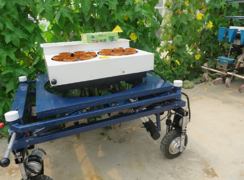 可直角换行的小型蔬菜移栽机研制成功