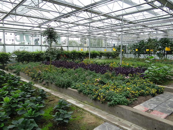 汪洋:加快推进农业结构调整 构建现代农业产业