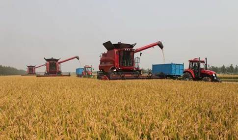 中国农业企业发展面临四大变化_农机360网