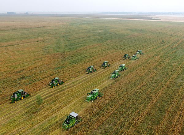 航拍:河南长垣黄河滩区收获忙_农机360网