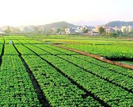 农村及现代农业与供给侧改革是什么关系?_农