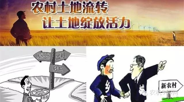 收入证明_农民 财产性收入(3)