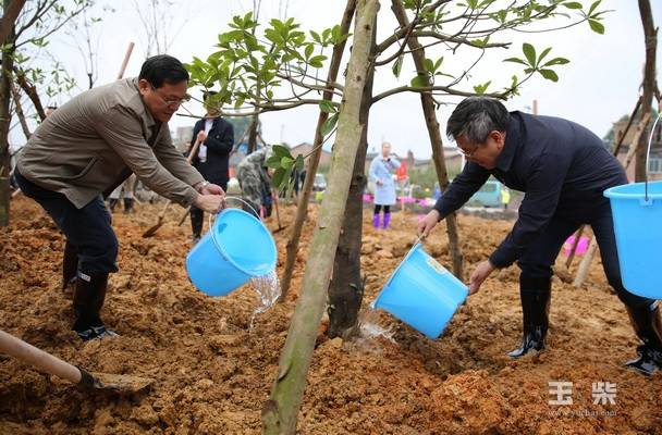王凯书记率市机关单位人员为玉柴产业新城添绿