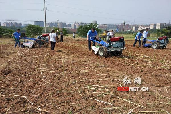 新型农机补贴前先过现场试验关 农民直呼“接地气”.jpg