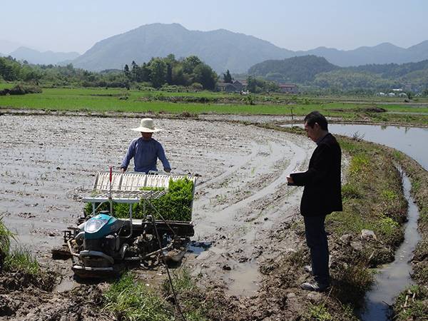 5月11日，在兴隆镇承包大户余智勇田头指导.jpg