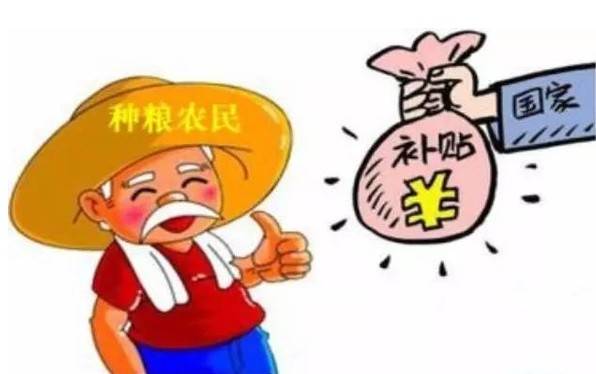 农业银行收入证明模板_支持性农业收入政策