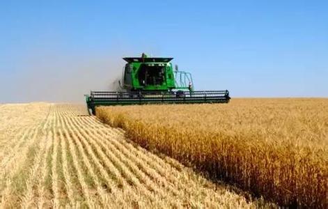 节约粮食_粮食亩收入(2)