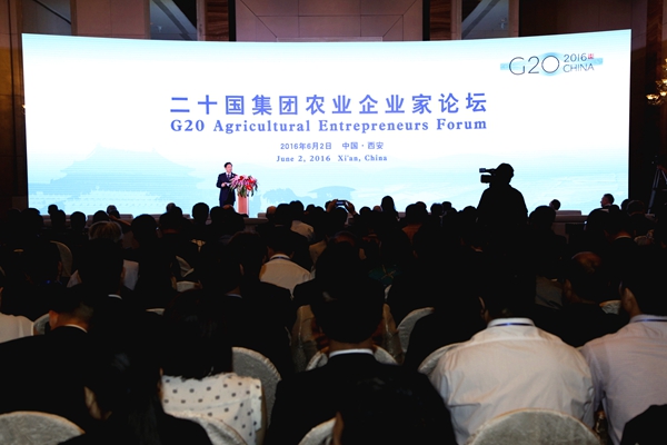 创新合作推动农业可持续投资与贸易