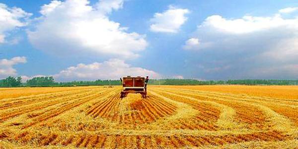 为三农发展注入动力 农业供给侧拓宽新边界_