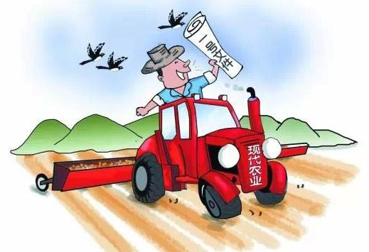 2017年中央一号文件公布 提出深入推进农业供