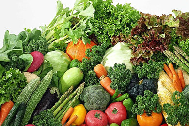 重点蔬菜品种2016年市场分析及2017年市场预测