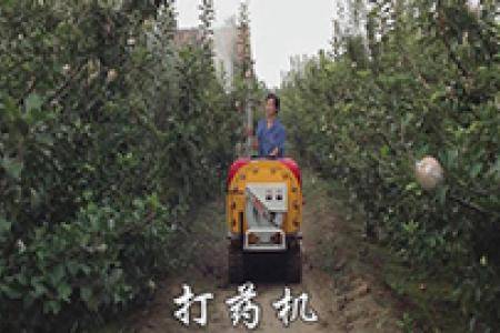 手持喷雾果园植保作业
