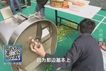 巧切蔬菜：宋宪虎发明的自动切菜机