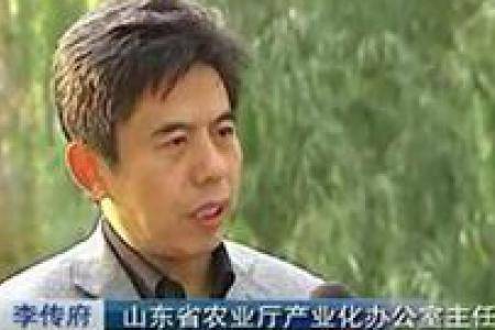 山东农业龙头企业引领现代农业发展
