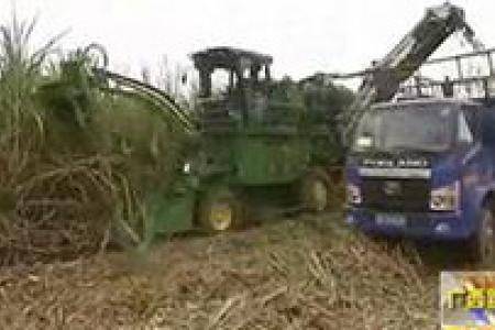 广西金融租赁支持购置甘蔗联合收割机
