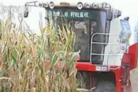 全国秋粮再获丰收 口粮增产
