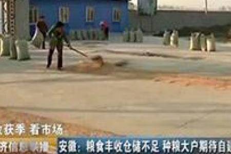 安徽：粮食丰收仓储不足 种粮大户期待自建粮库