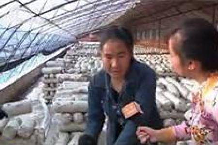 农民小伙爱琢磨 发明农机获专利